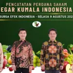 buah