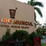 sidomuncul